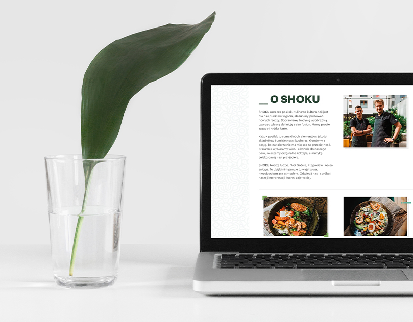 restauracja azjatycka Shoku webdevelopment