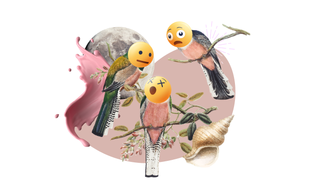 od-emotikona-do-emoji_ptaki_bt